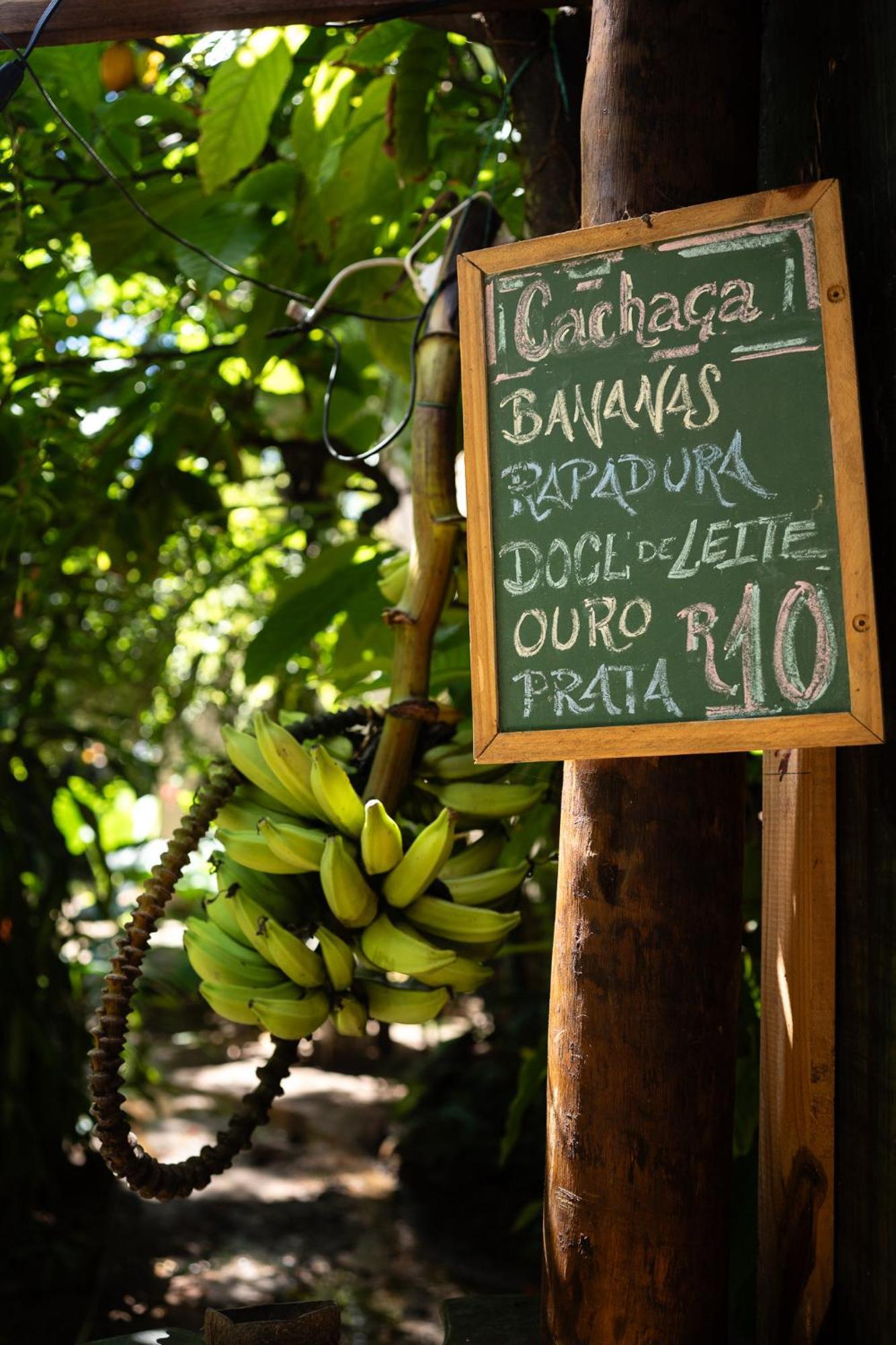 Bananas Hostel Itacaré Esterno foto